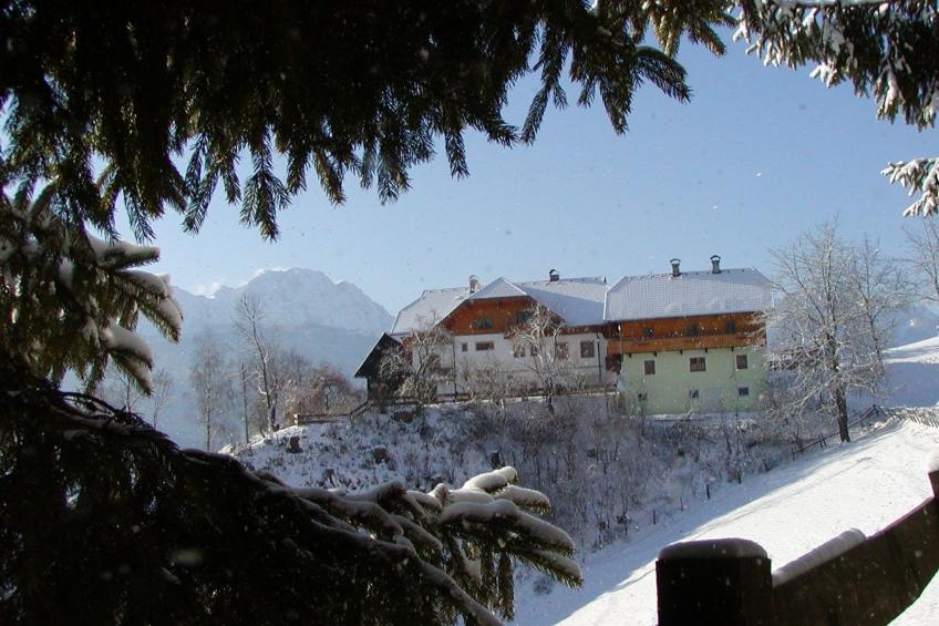 Waldpension in Steinfeld