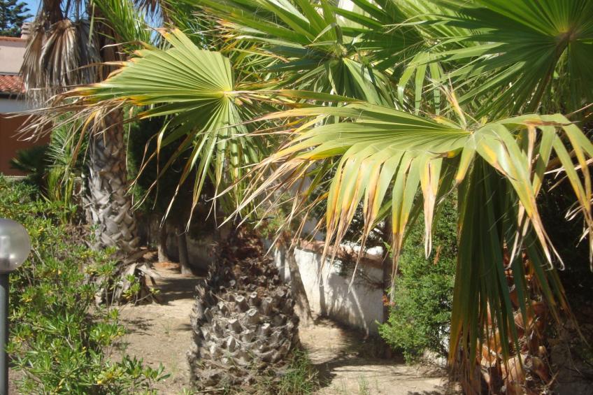Villa Degli Angeli mit Blick auf das Meer - foto 6