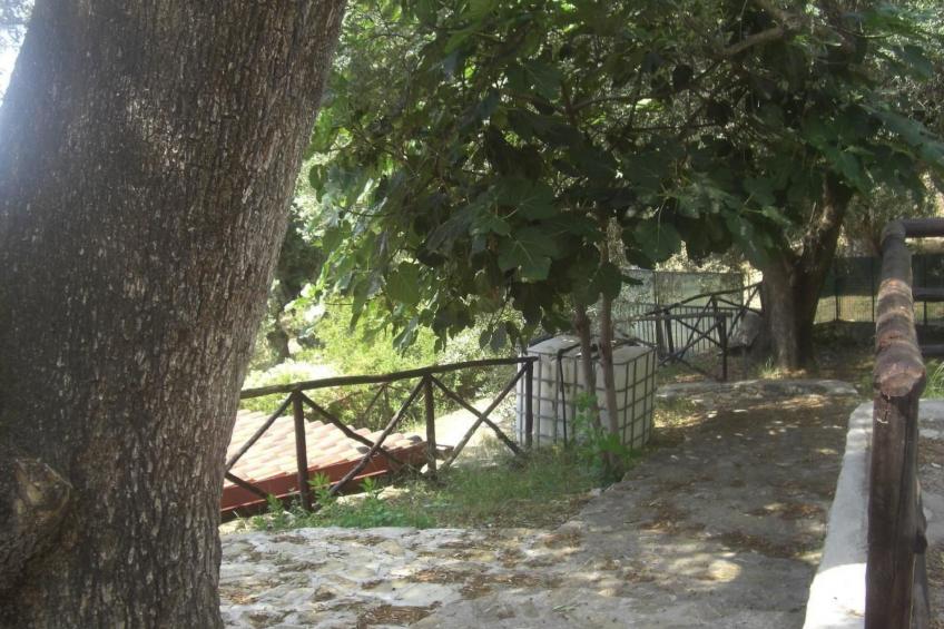 Strandnahe Ferienwohnung mit Garten und Grill - foto 39