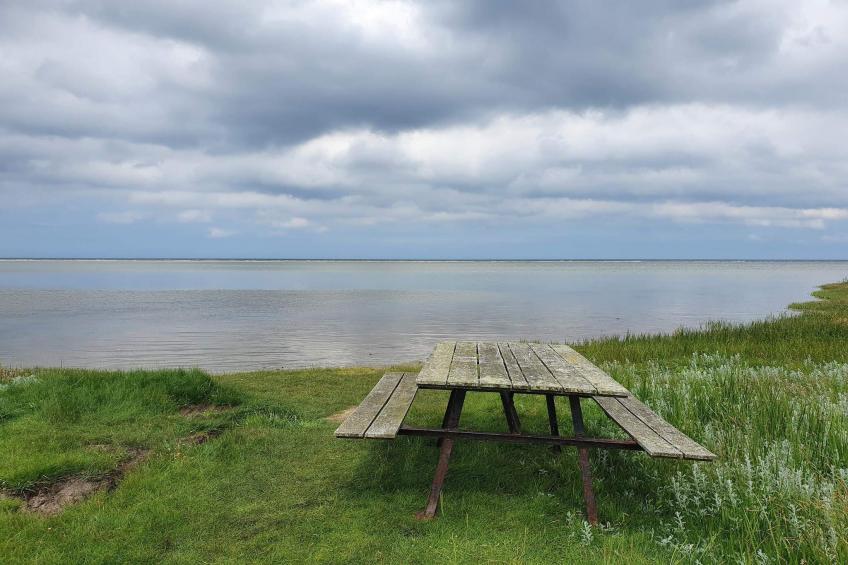 BF-GTYWH - foto 15