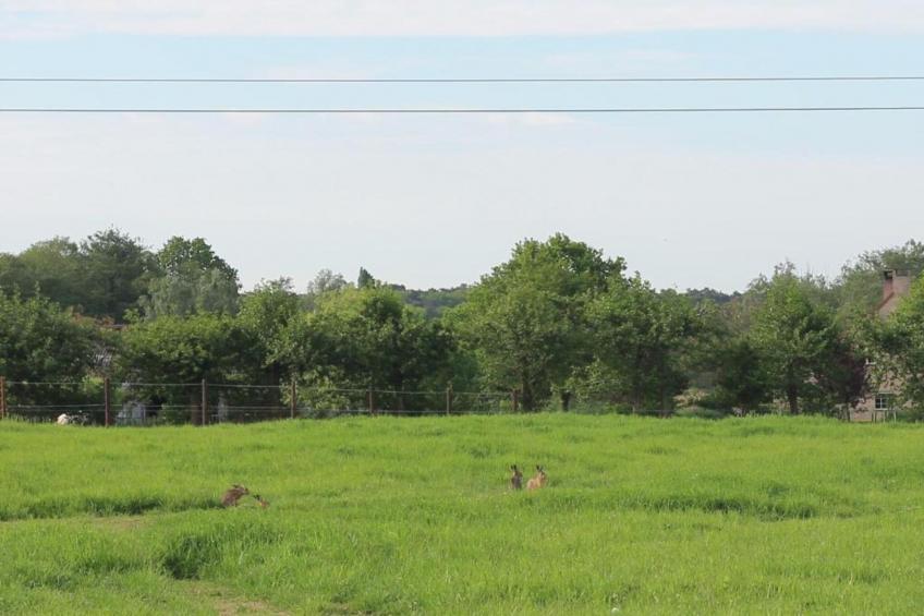 't Granzeke - foto 24