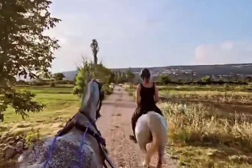 Villa Rubin - foto 48