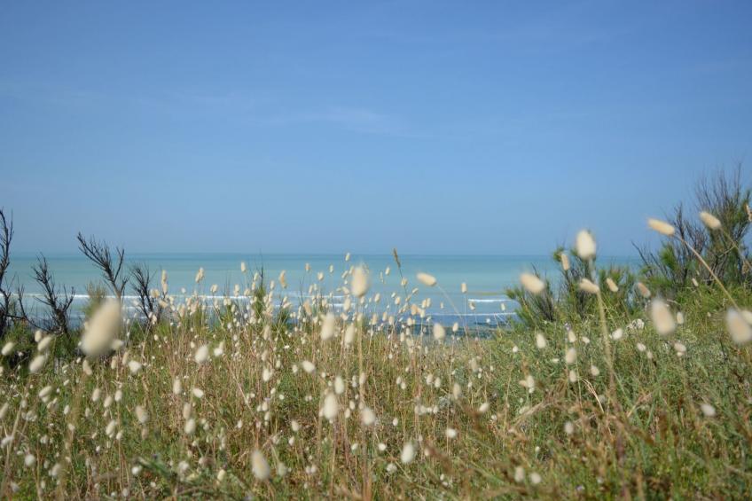 "Villa Joss" in Strandnähe - foto 29