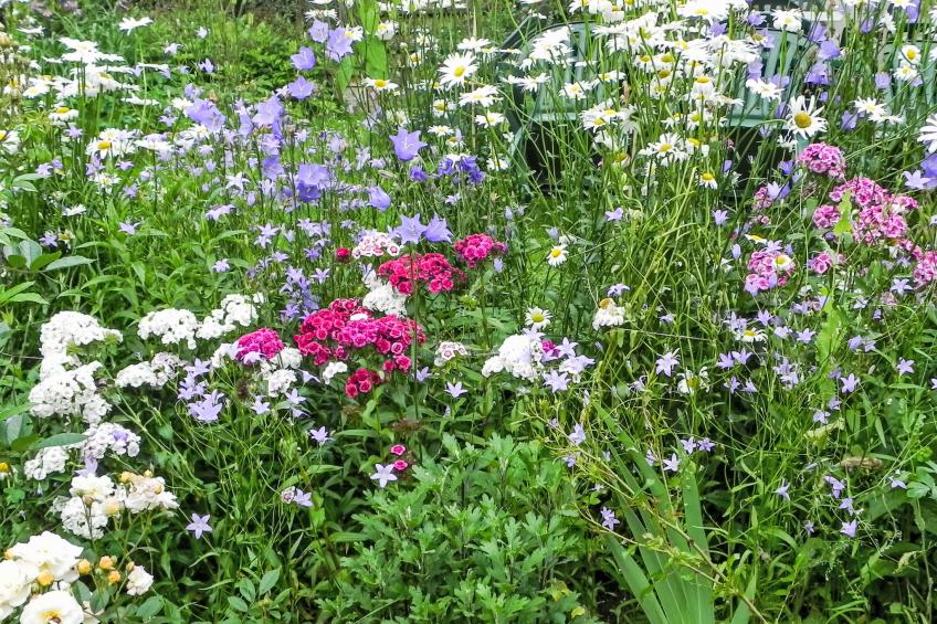 Himmelreichmühle - foto 14