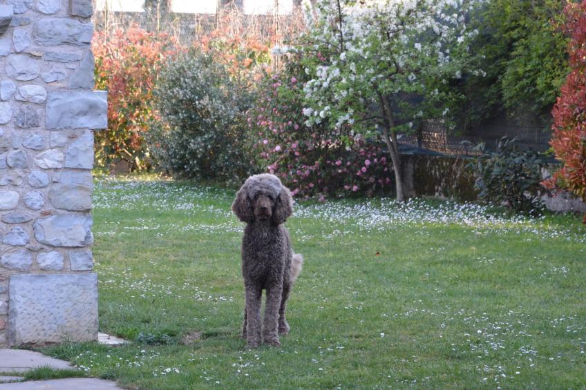 Apt. "San Bernardo" - foto 26