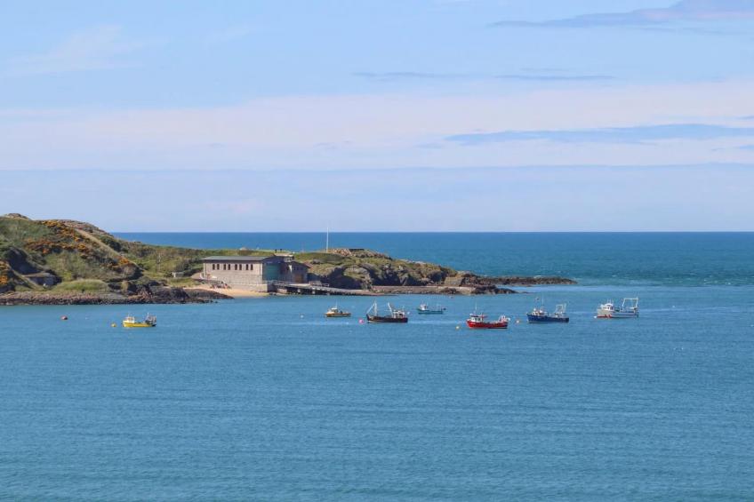 Brigwyn - foto 30