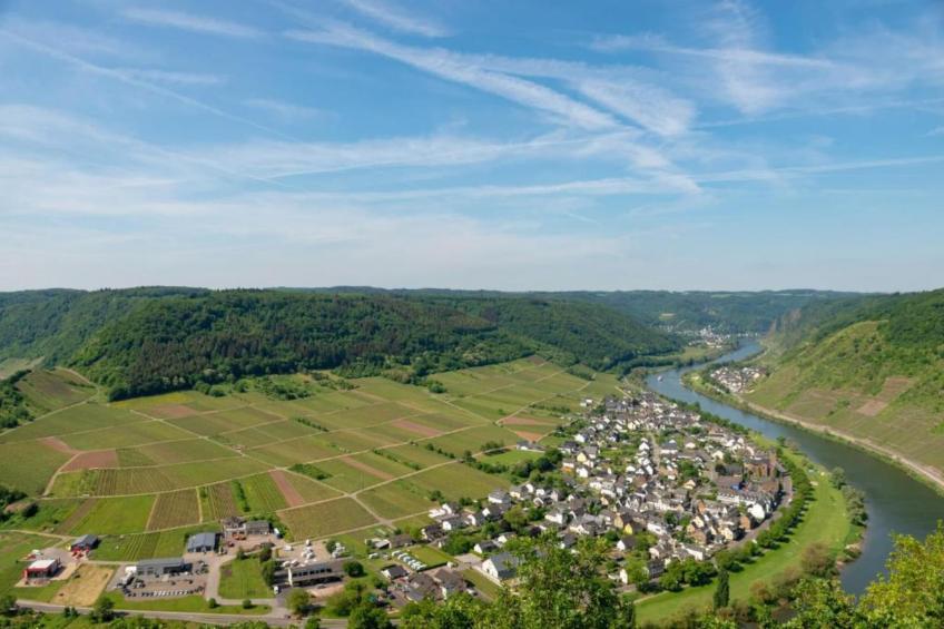 Weingut Hausmann - foto 29