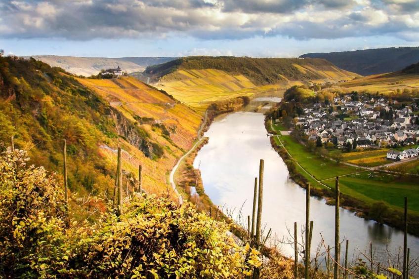 Perle-Lollipop - foto 24