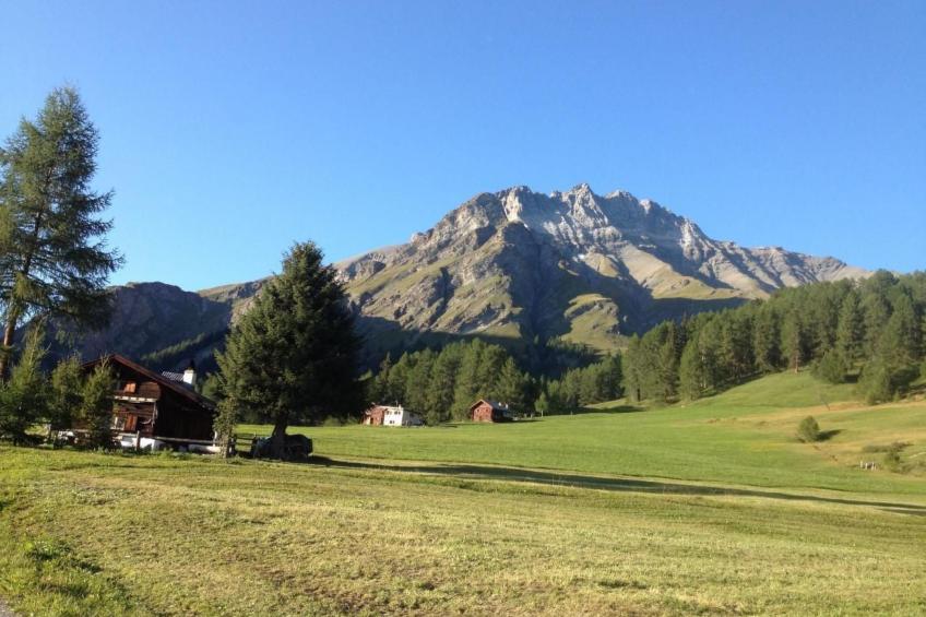 Pensiun Tung - foto 36