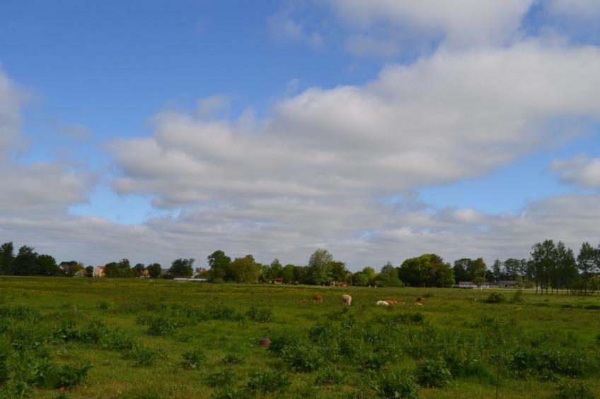 "Josina" - 32km from the sea in Western Jutland - foto 36