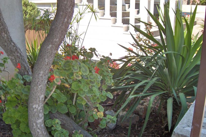 Wohnung im Hochparterre - foto 8