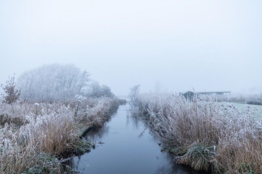 De Veenhoop Watersport en Recreatie - foto 20