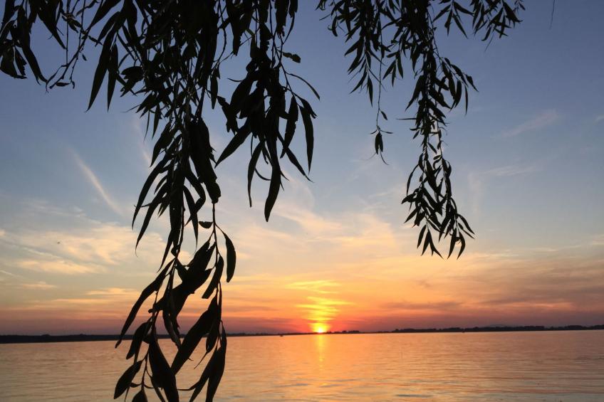 Hütte mit Garten, Grill und Terrasse - foto 5