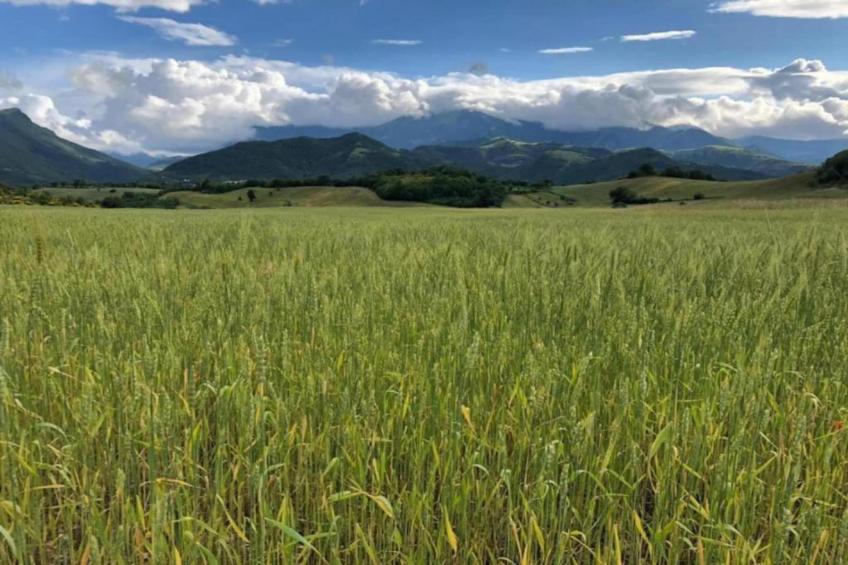 Casale le Querce - foto 40