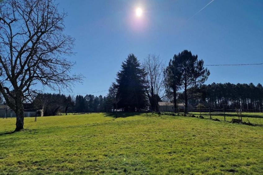 Les Coquelicots - foto 40