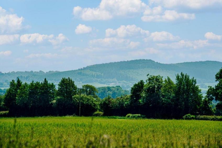 Netley Hall - Rose - foto 23