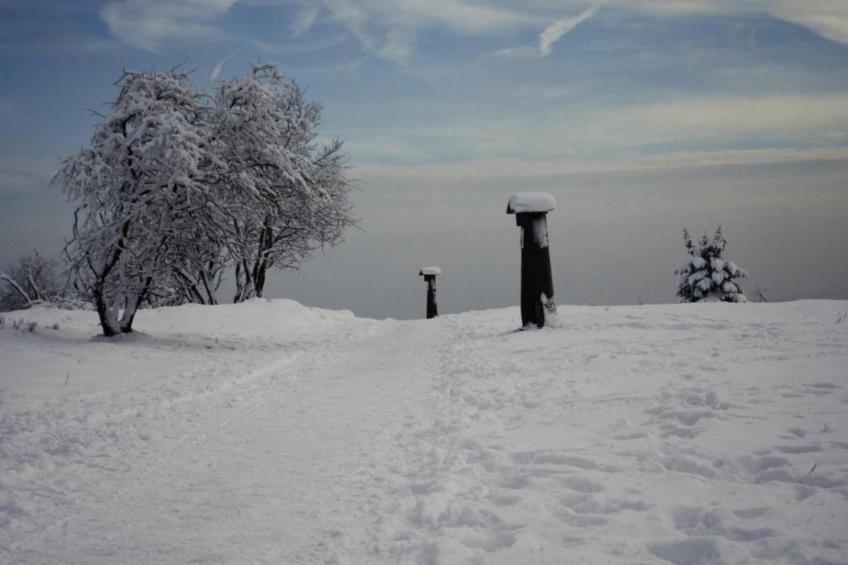 Im Ries III - foto 20