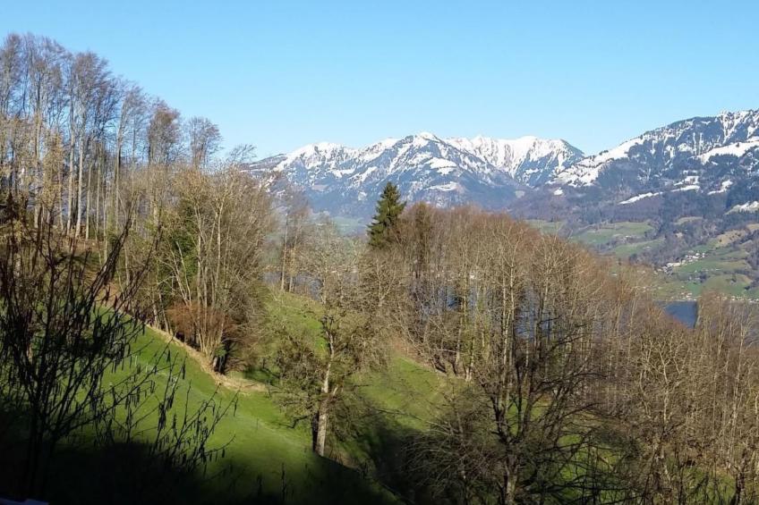 Chalet Hüsli - foto 3