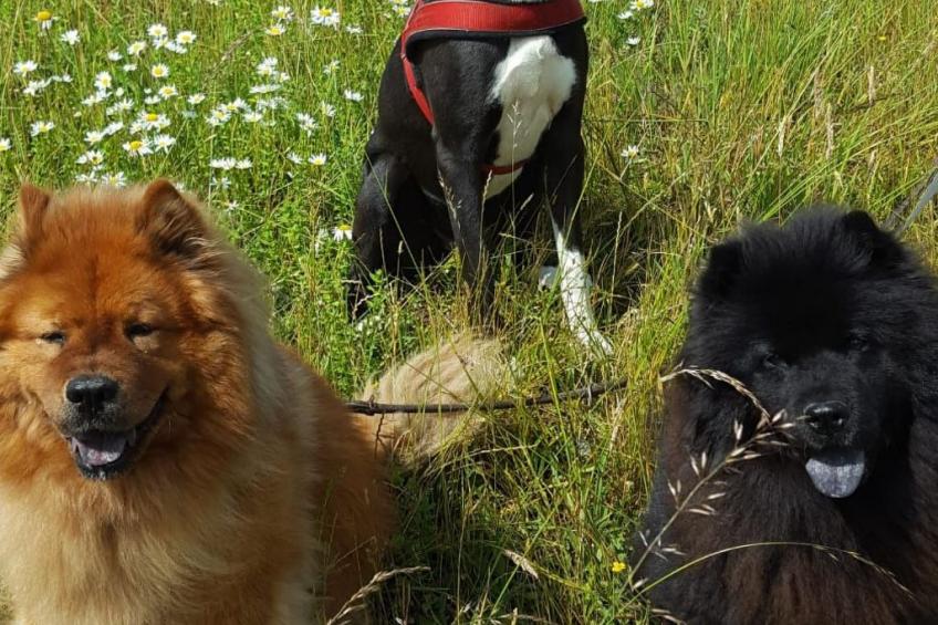 in mediterraner Kulisse - foto 19