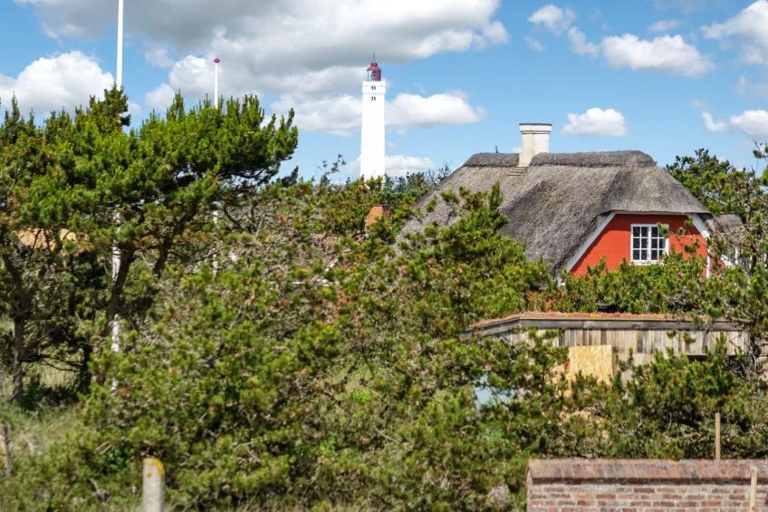 "Svende" - 100m from the sea in Western Jutland - foto 21