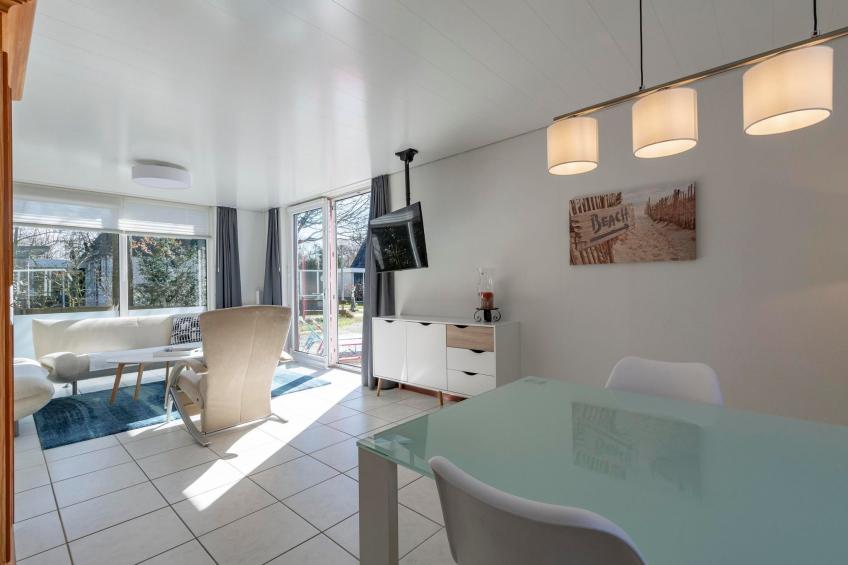 Campanula 52 - foto 16