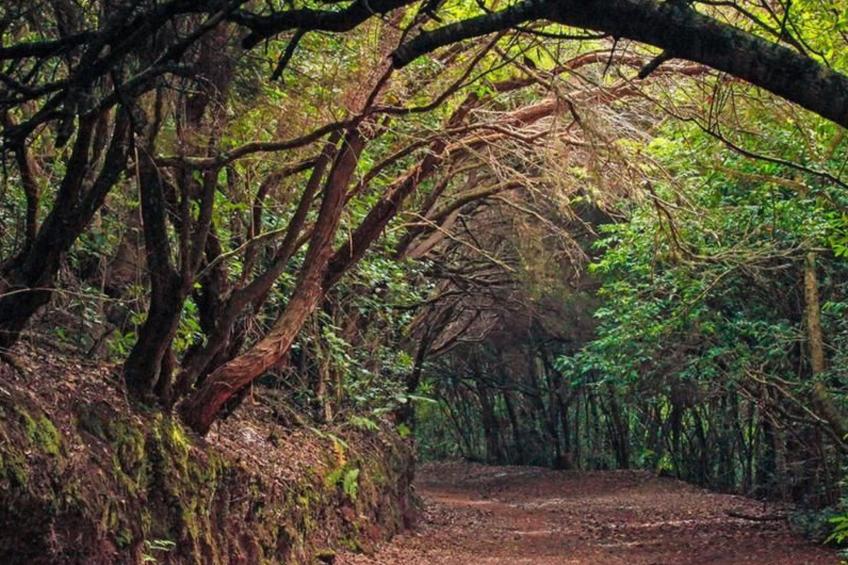 Schönes Haus mit Pool und Garten auf Teneriffa - foto 17