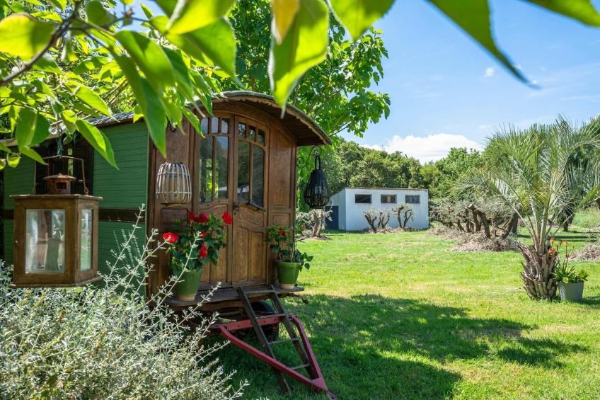 Grand Mas climatisé Arles - foto 34