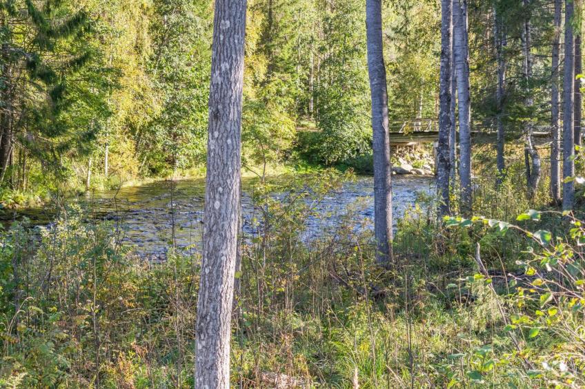 Vaikon loma ja lohi - foto 16