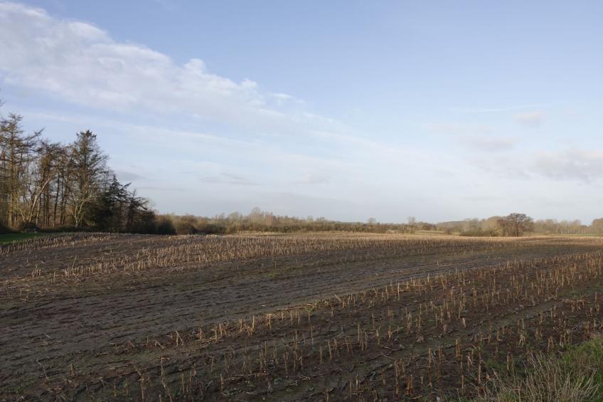 hygge hus, tolle Ostseelage, freier Blick auf Felder - foto 10