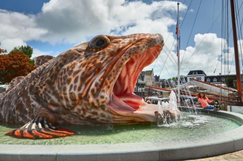 Übernachten im schönen Friesland - foto 20