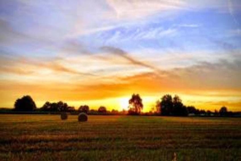 Chambre zen B&B avec piscine et jacuzzi privatifs - foto 25