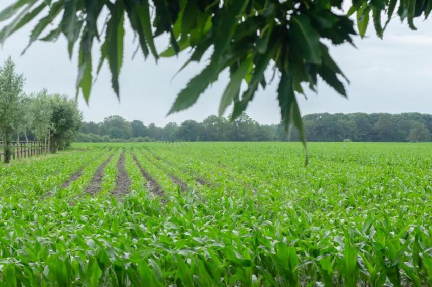 Chalet Egel - foto 27