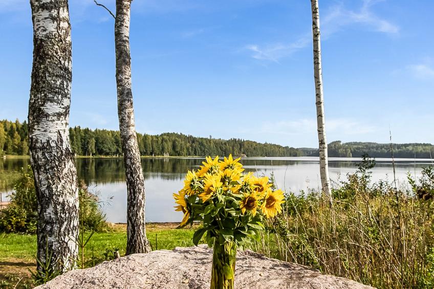 Myllymökki, rantalan lomamökit - foto 41