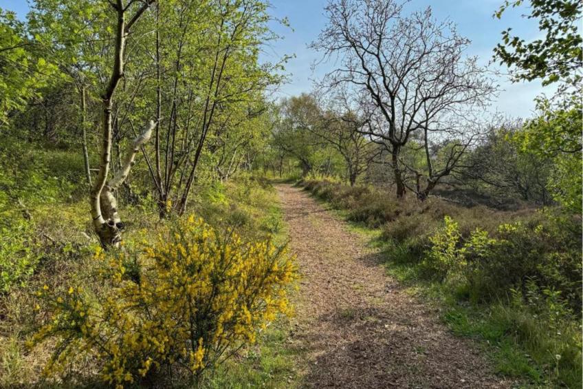 De Strandvogel - foto 24