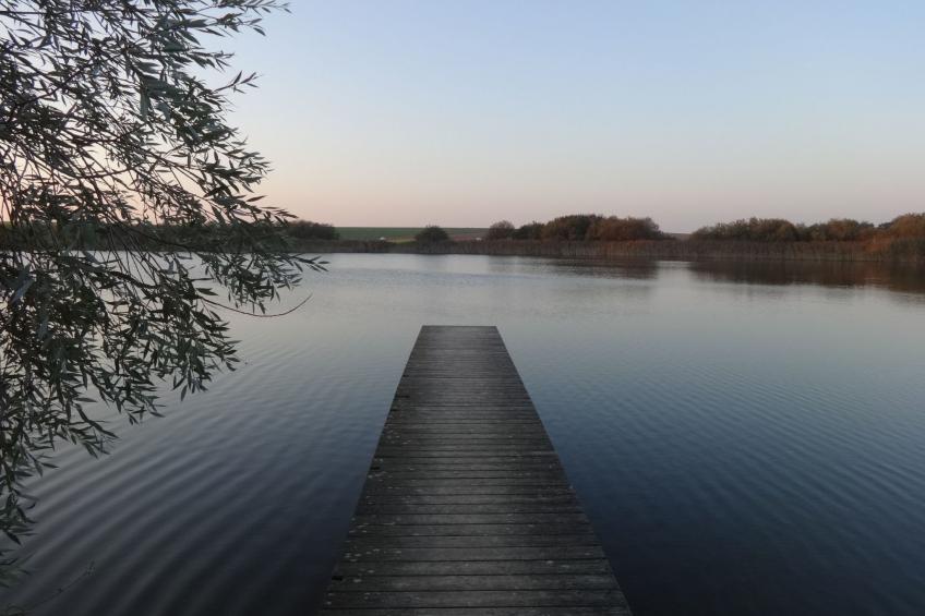 Pastor Hauswedel - foto 16