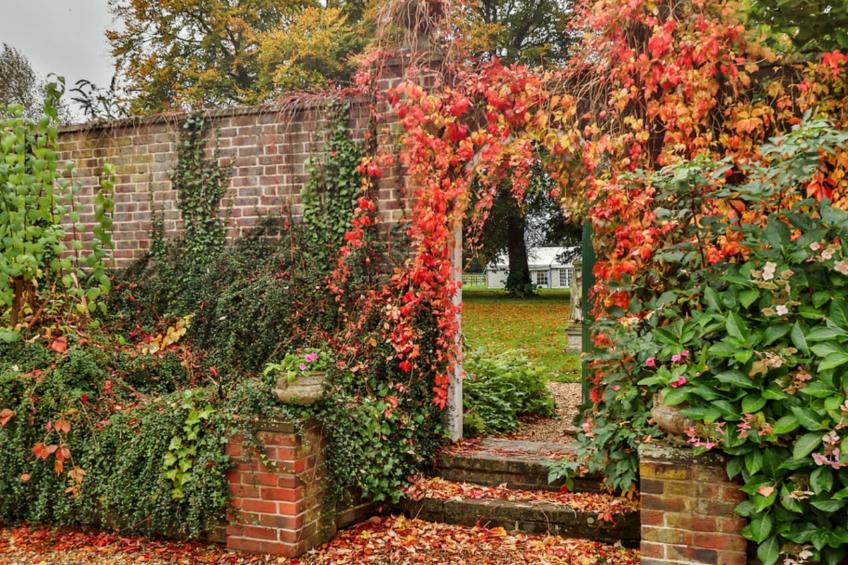 Walcot Hall - foto 8