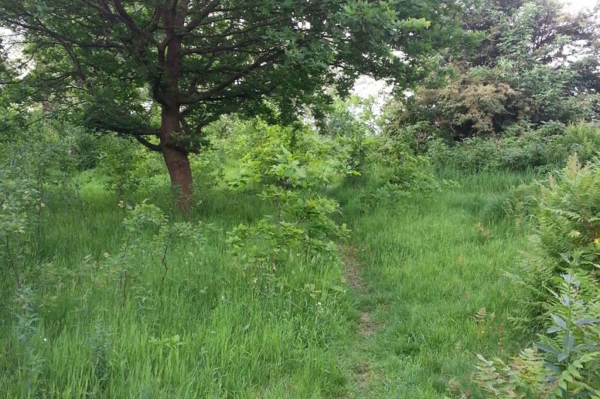 in Bad Bederkesa mit Garten - foto 17