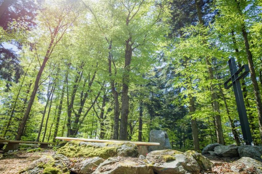 Holiday park Geyersberg Freyung-Appartement Typ A Basis - foto 37