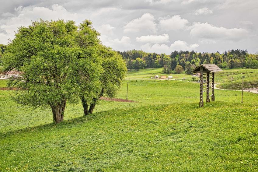 Visnja Gora Meadow Hideaway with Terrace - One Bedroom Cottage with Terrace (owner Hiška na skalci) - foto 36