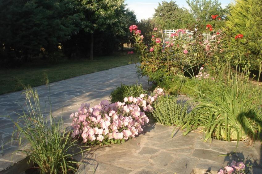 Gemütliches Ferienhaus auf umzäunten Grundstück - foto 20