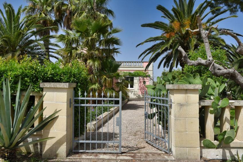 Sirgole Rosa - foto 33