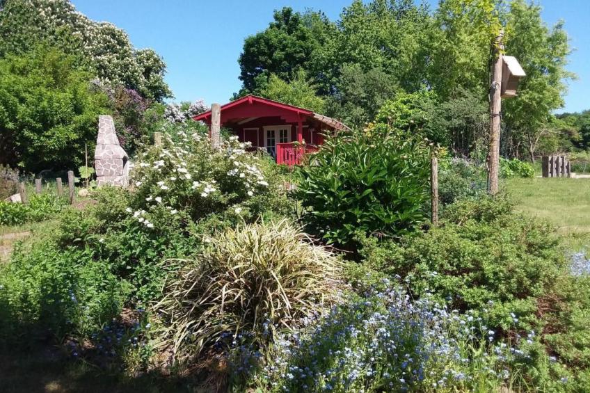 Schwalbennest - foto 31