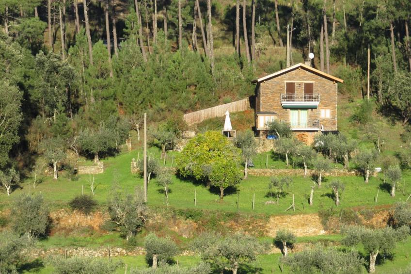 mit Sonnenterrasse und großem Garten - foto 4