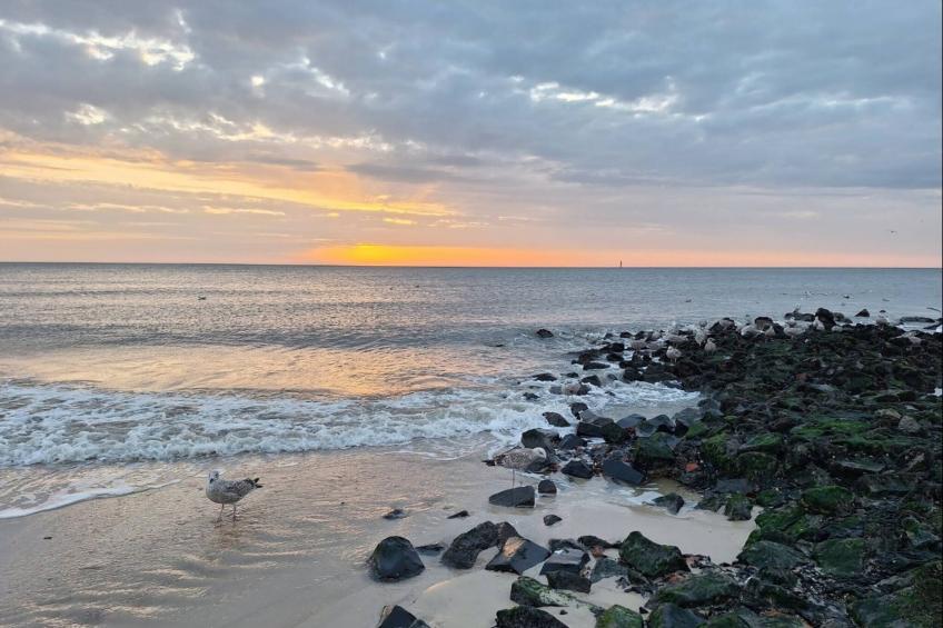 Apartments home Andrea, Westerland - Type A - foto 16