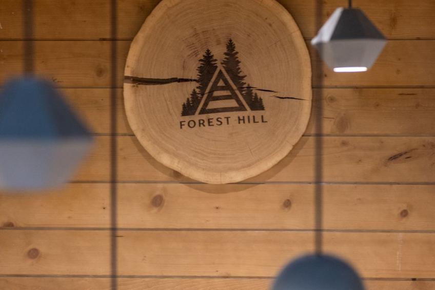 Chalet "Forest Hill" mit Hallenbad - foto 41