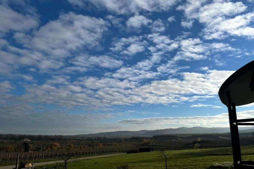 Max Mountain View - foto 12