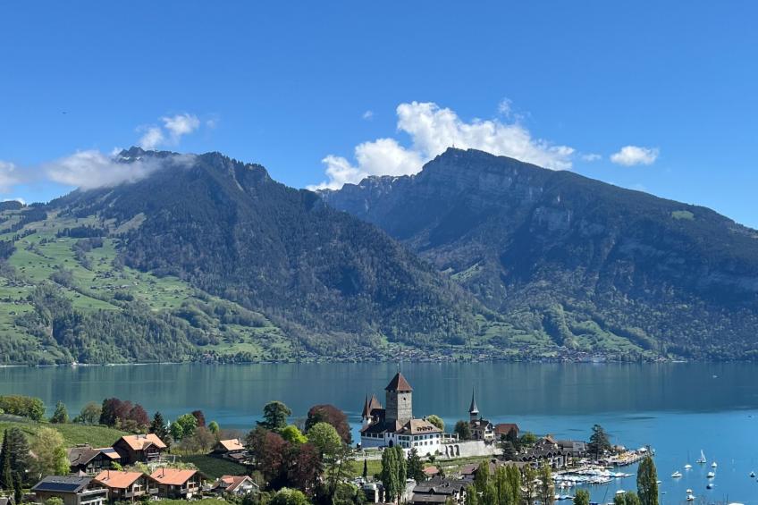 Pfrundmatte 12 - foto 19