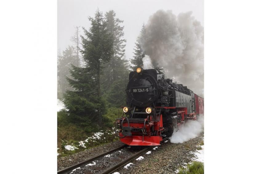 561531 - foto 25