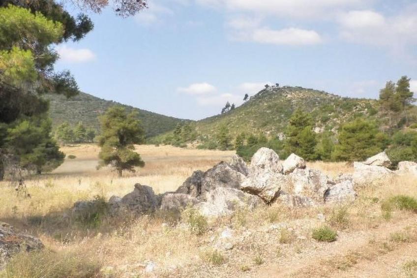 Studio mit Garten - foto 46