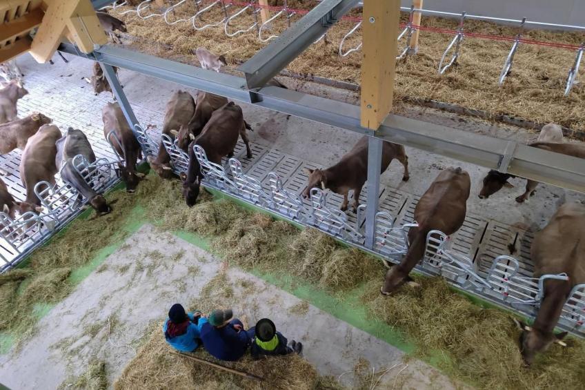 Biohof Langberg - foto 25